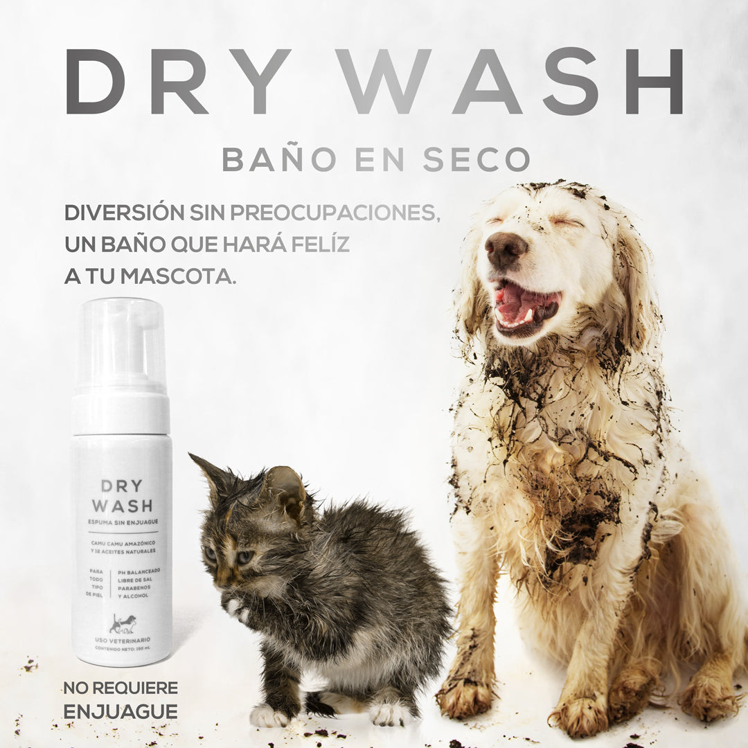 RENOVAPET DRY WASH BAÑO EN SECO