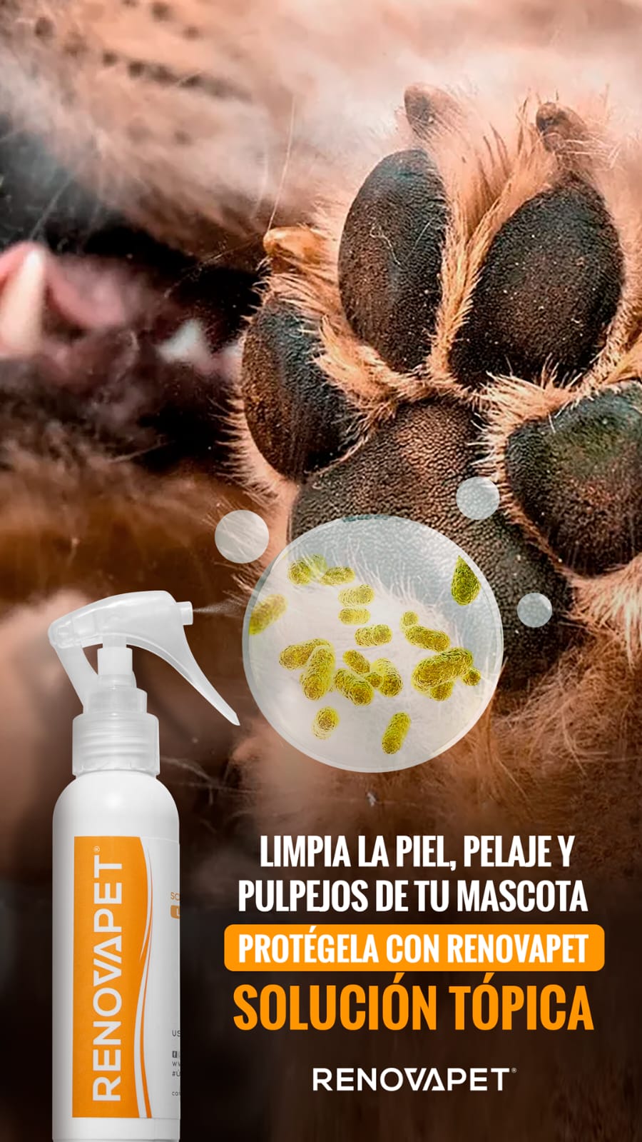 🐾 RENOVAPET TÓPICO- Solución Dérmica Para Animales 🐶🐱🐎