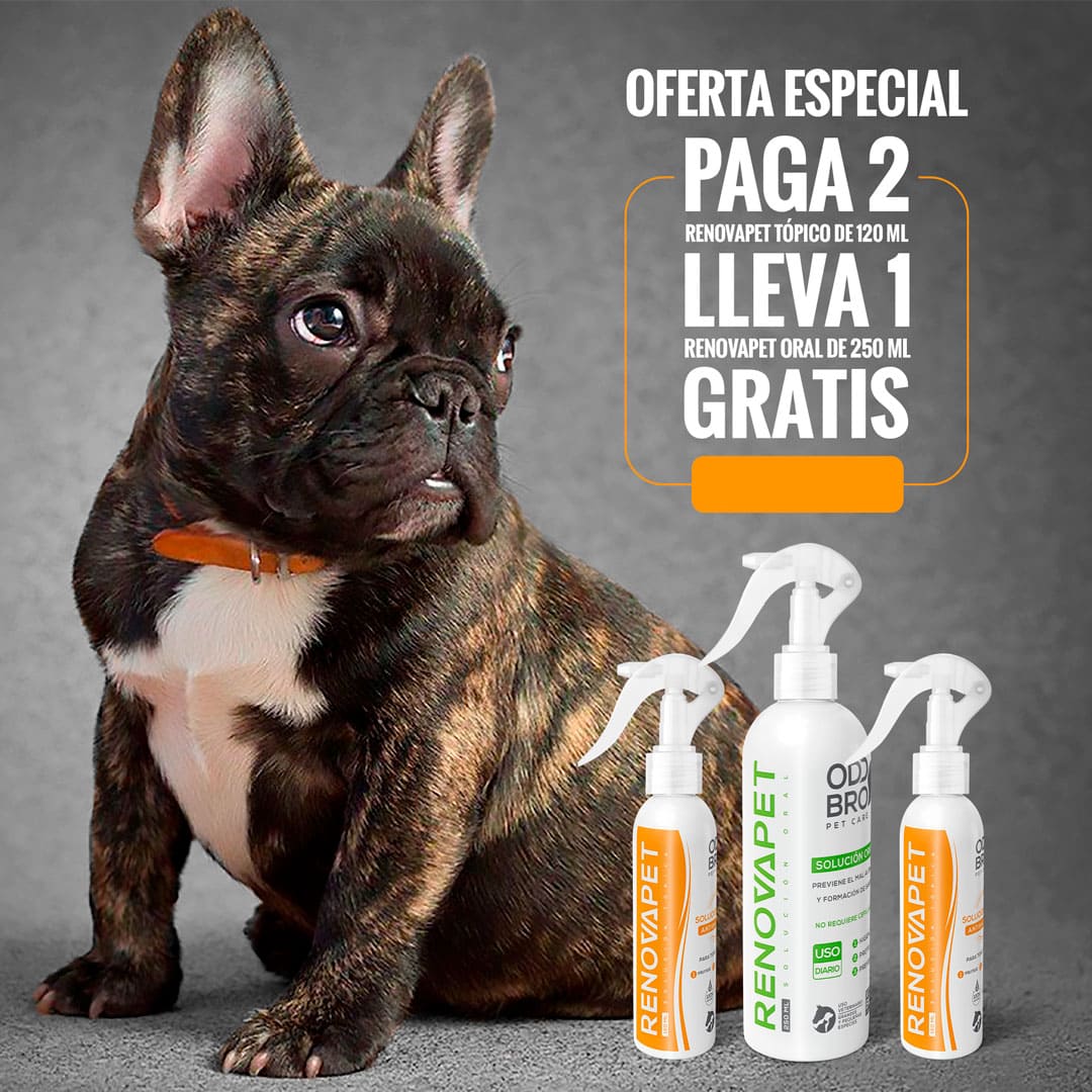 🐾 RENOVAPET TÓPICO- Solución Dérmica Para Animales 🐶🐱🐎