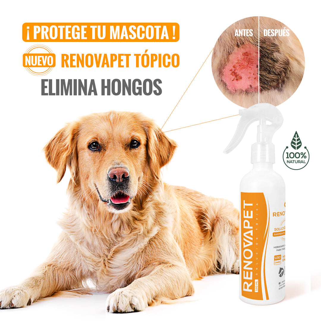 🐾 RENOVAPET TÓPICO- Solución Dérmica Para Animales 🐶🐱🐎